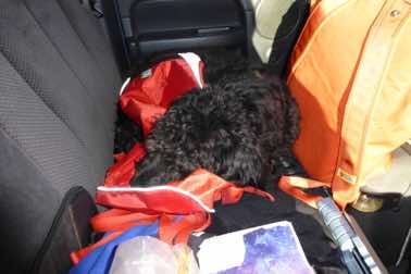 Anna getting one of many naps in. 